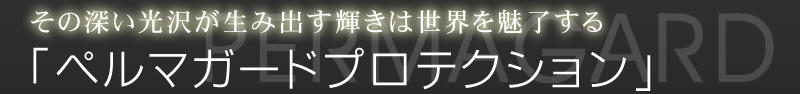 ̐[򂪐ݏoP͐E𖣗@uy}K[hveNVv